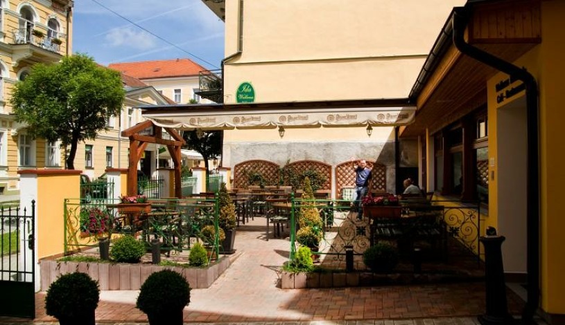 Wellness hotel Ida Františkovy Lázně